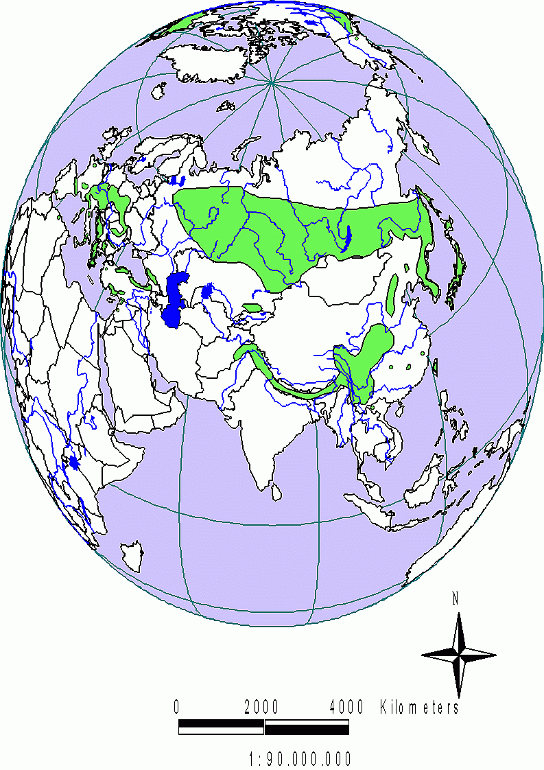  En Eurasie