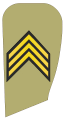 Iran-army 05.gif